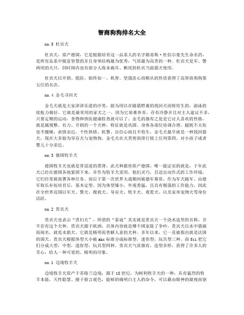 智商狗狗排名大全