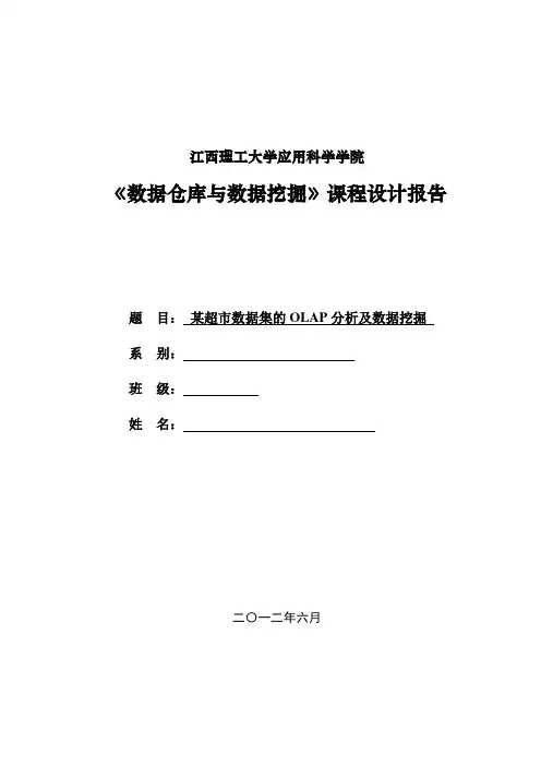 《数据仓库与数据挖掘》课程设计报告模板综述