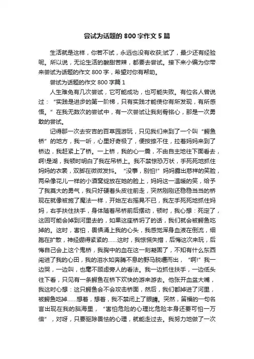 尝试为话题的800字作文5篇