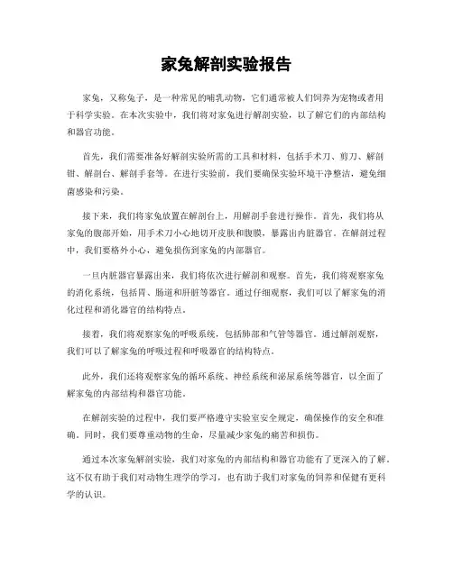 家兔解剖实验报告