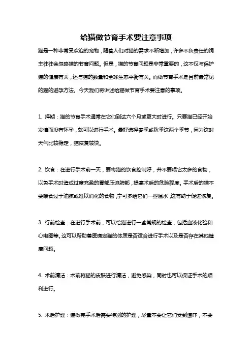给猫做节育手术要注意事项