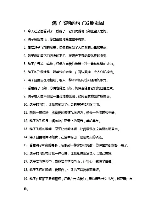 鸽子飞翔的句子发朋友圈