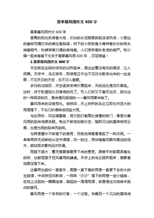 夏季暴风雨作文600字