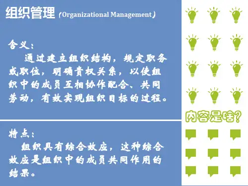 跨国公司组织结构以及宝洁公司案例(PPT 页)