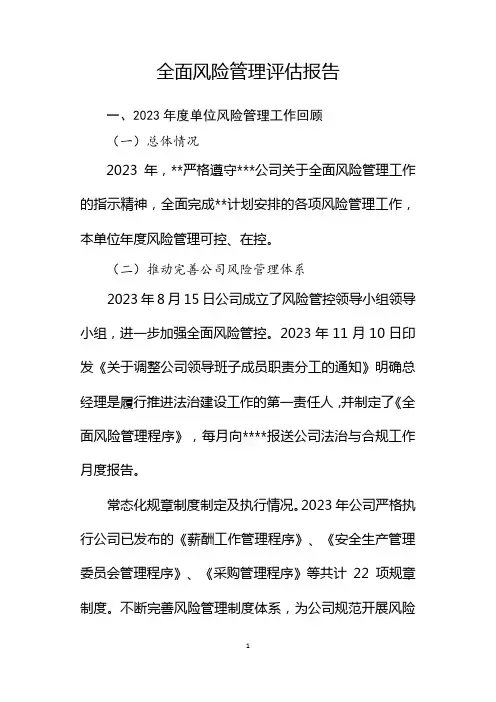 全面风险管理评估报告