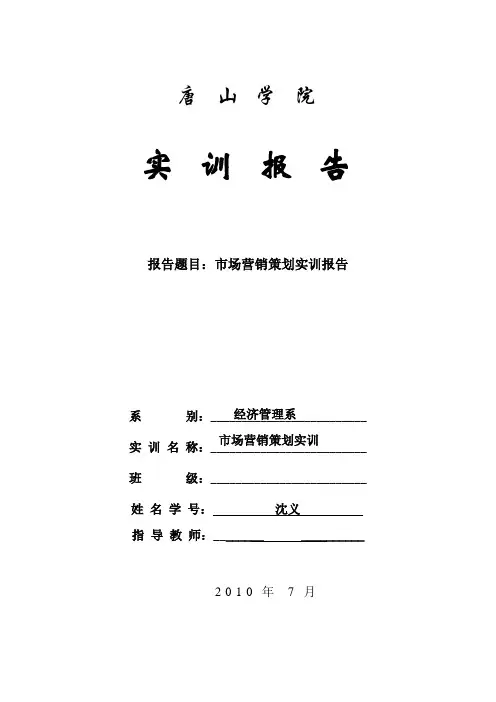 营销策划实训报告