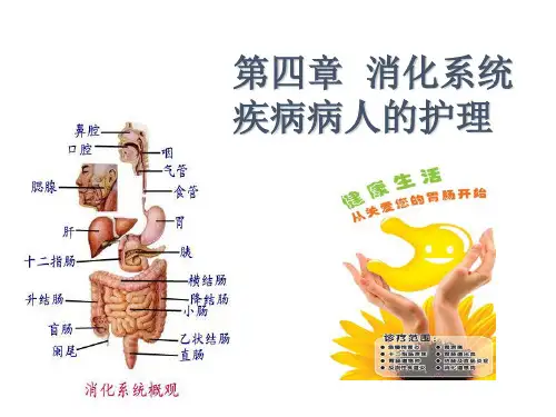 消化系统疾病护理-症状护理_【PPT课件】