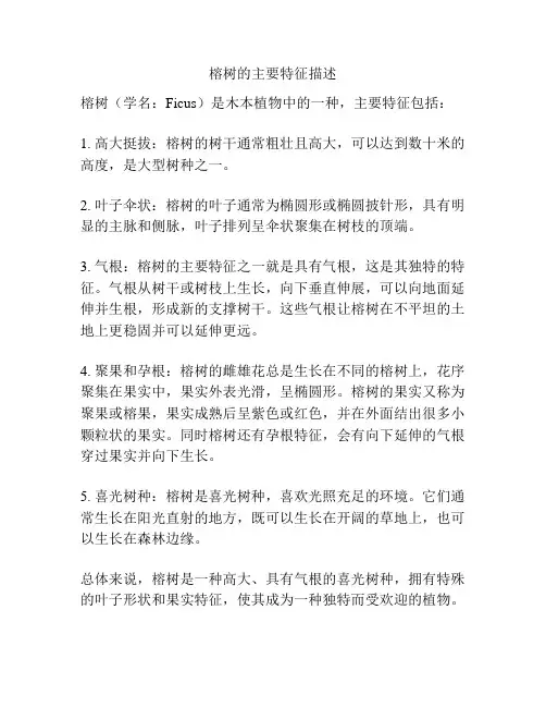 榕树的主要特征描述