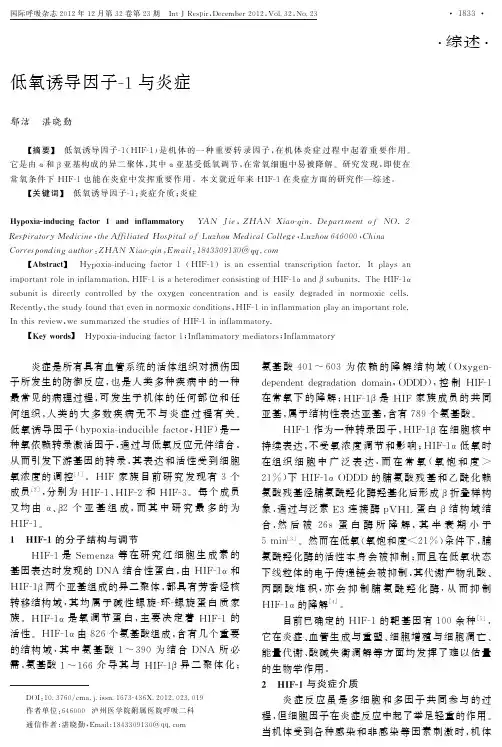 低氧诱导因子-1与炎症