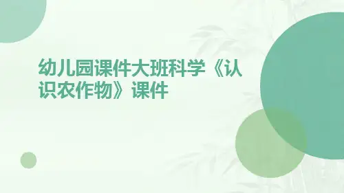 幼儿园课件大班科学《认识农作物》课件
