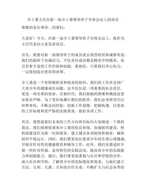少工委主任在新一届少工委领导班子全体会议上的讲话