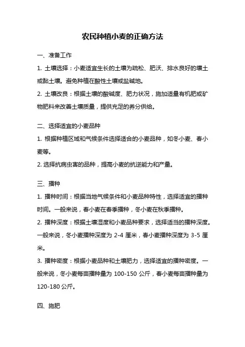 农民种植小麦的正确方法