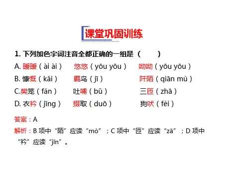 高中语文必修1教学课件：  课堂巩固训练