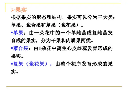 果实的类型