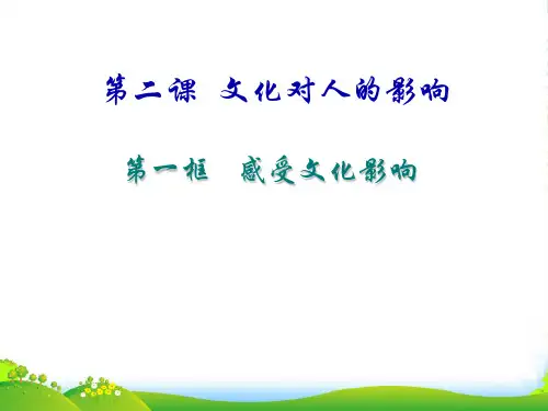 人教版高中政治必修三第二课第一框 感受文化影响 课件(共28张PPT)