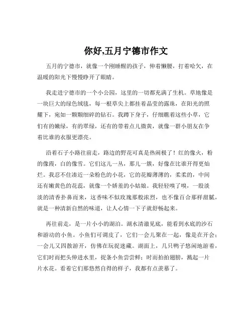 你好,五月宁德市作文