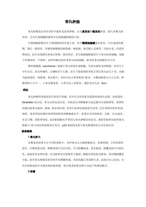 睾丸肿瘤