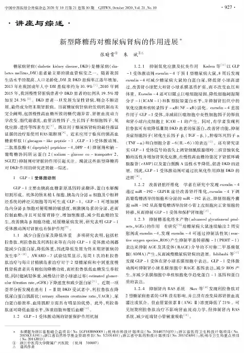 新型降糖药对糖尿病肾病的作用进展