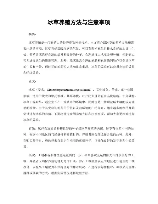 冰草养殖方法与注意事项