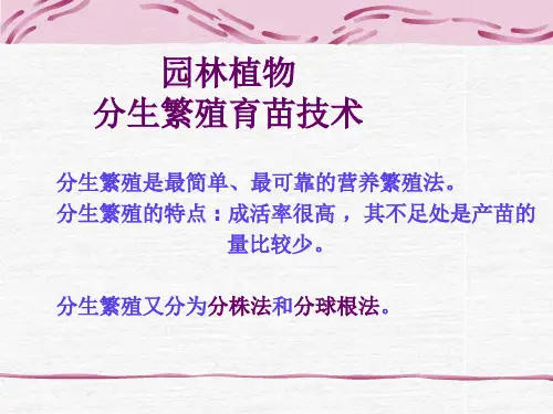 园林植物分生压条等繁殖-32页PPT资料