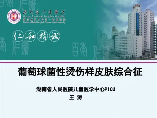 SSSS综合征