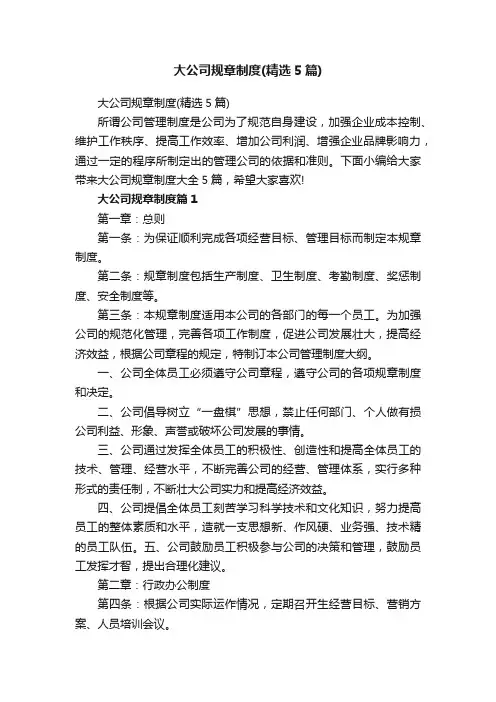 大公司规章制度（精选5篇）