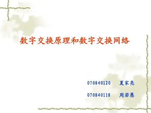 数字交换网络T&S