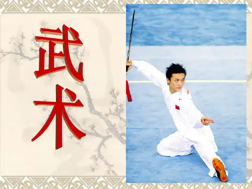 武术(太极拳)ppt