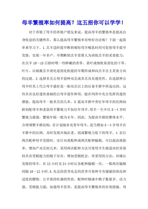 母羊繁殖率如何提高？这五招你可以学学!