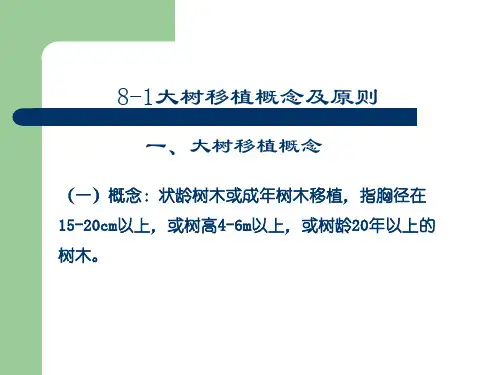 最新大树移植PPT课件