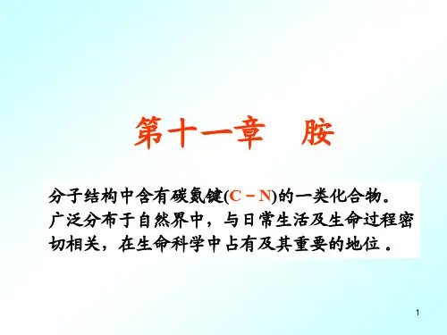 《有机化学》胺
