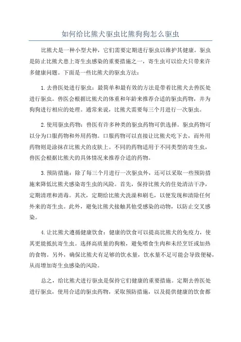 如何给比熊犬驱虫比熊狗狗怎么驱虫