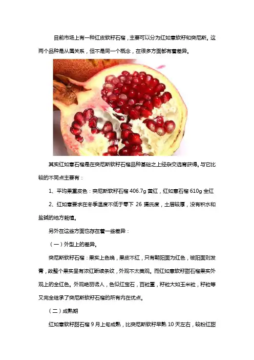突尼斯和红如意的区别