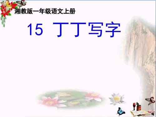 一年级语文上册丁丁写字 PPT精品课件1湘教版