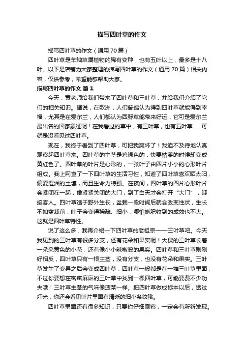 描写四叶草的作文