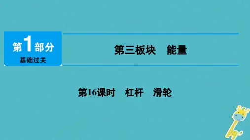中考物理总复习杠杆滑轮课件