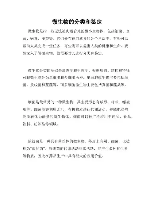 微生物的分类和鉴定