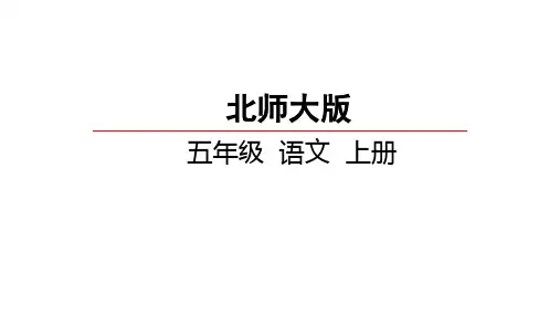 小升初语文课件 精英课堂 过关精讲 (314)