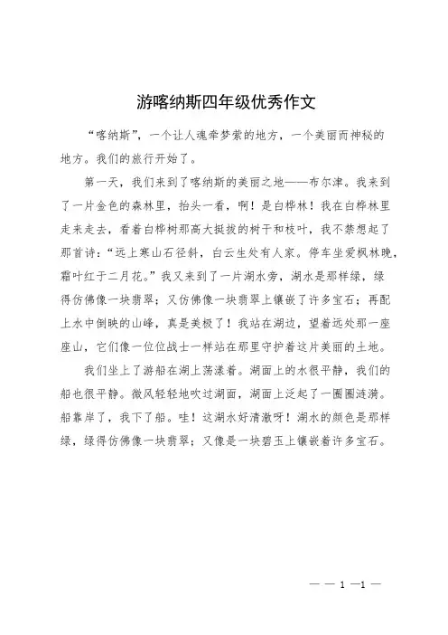 游喀纳斯四年级优秀作文