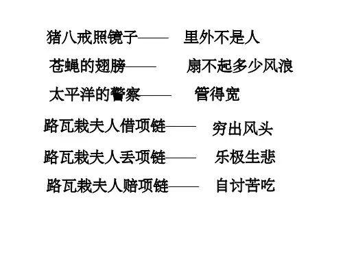 《猪八戒照镜子》PPT课件