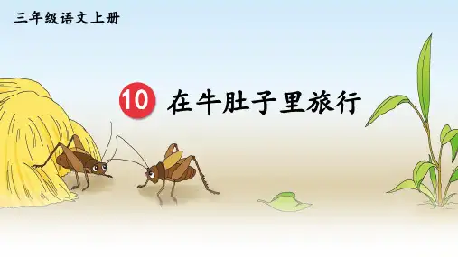 统编版三年级语文上册10在牛肚子里旅行(课件)(共19张PPT)