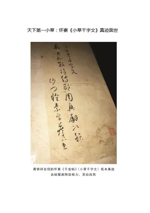 天下第一小草：怀素《小草千字文》真迹面世