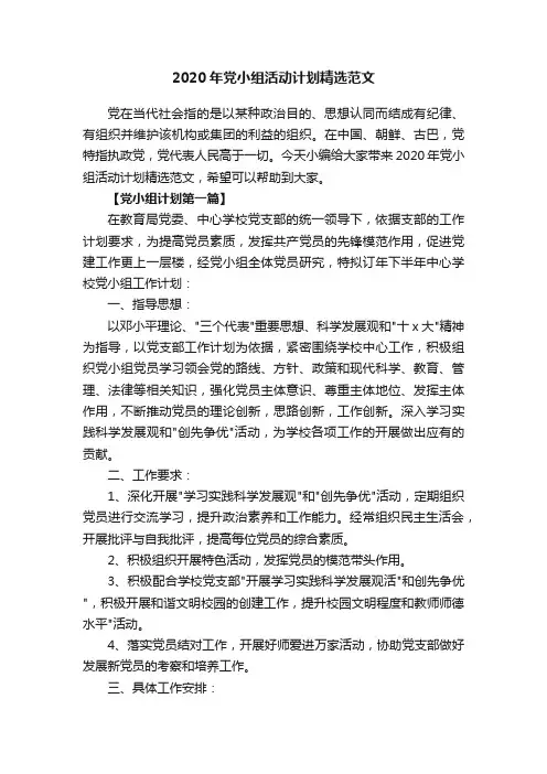 2020年党小组活动计划精选范文