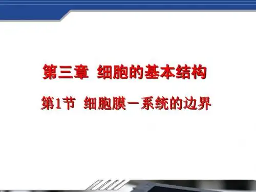 高中生物必修一第三章精品课件