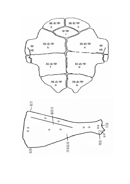 古文字学重点整理