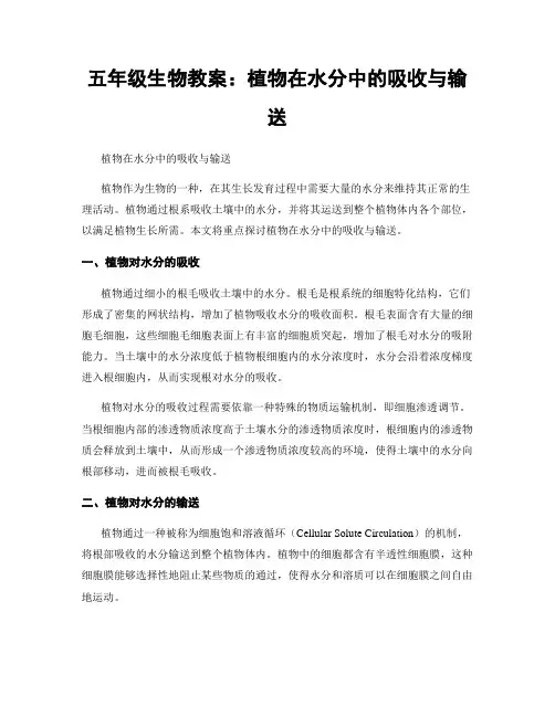 五年级生物教案：植物在水分中的吸收与输送
