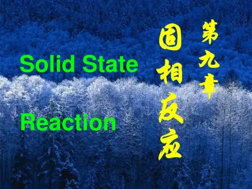 无机非金属材料基础PPT课件第九章 固相反应