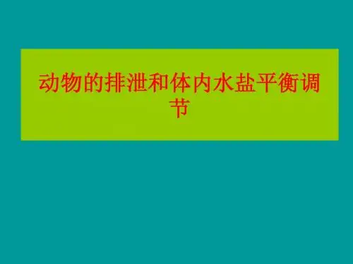 动物的排泄和体内