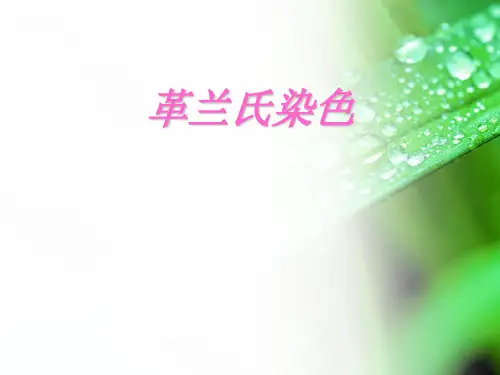 革兰氏染色(1)