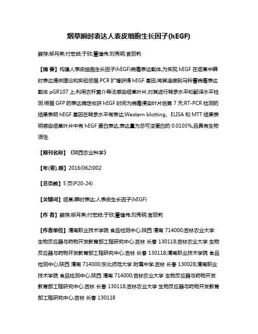 烟草瞬时表达人表皮细胞生长因子(hEGF)